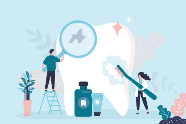 Professional  Holistic Dental Services in Hammond, WI